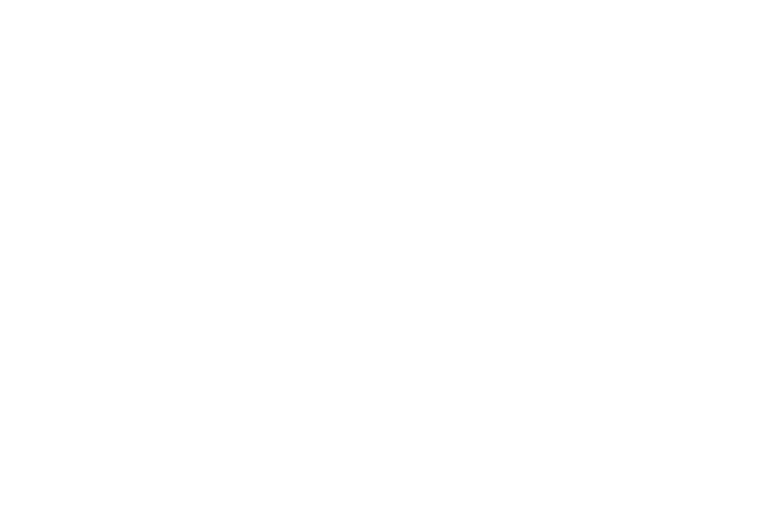 Action Academy Millionaire Mentorship