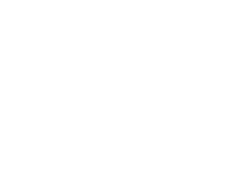 The Action Academy