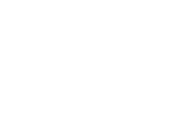 The Action Academy